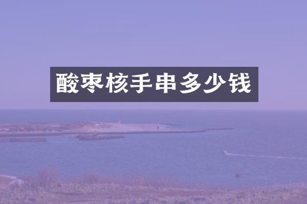 酸枣核手串多少钱