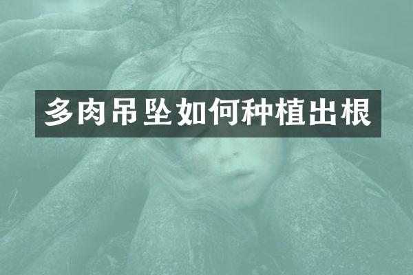 多肉吊坠如何种植出根