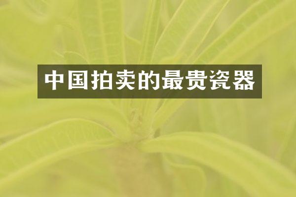 中国拍卖的最贵瓷器