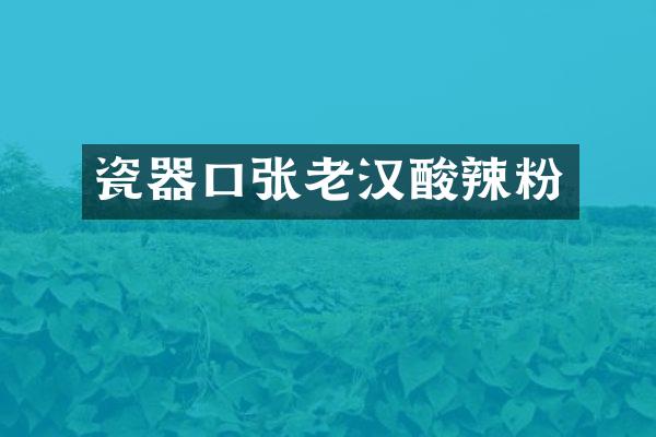 瓷器口张老汉酸辣粉