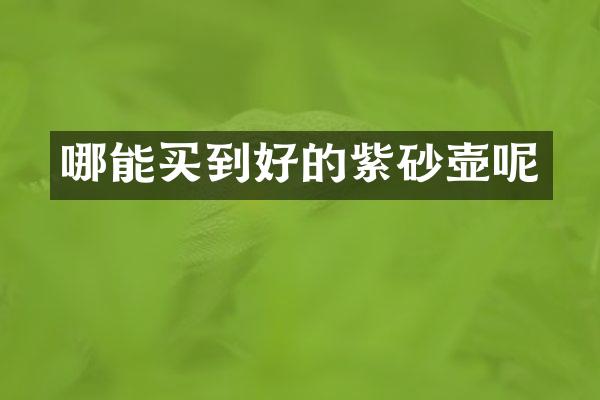 哪能买到好的紫砂壶呢