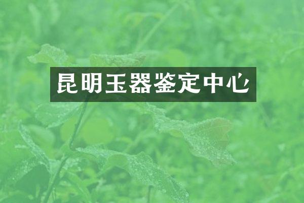 昆明玉器鉴定中心