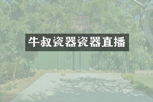 牛叔瓷器瓷器直播