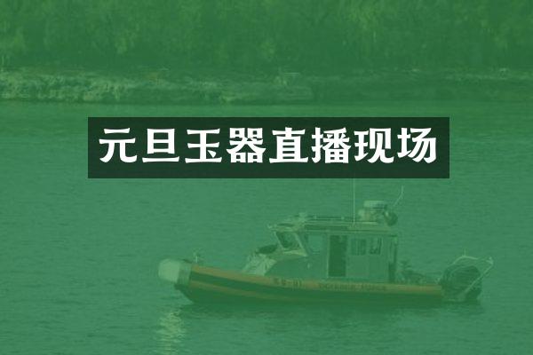 元旦玉器直播现场