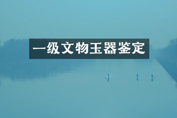 一级文物玉器鉴定