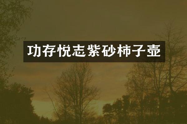 功存悦志紫砂柿子壶