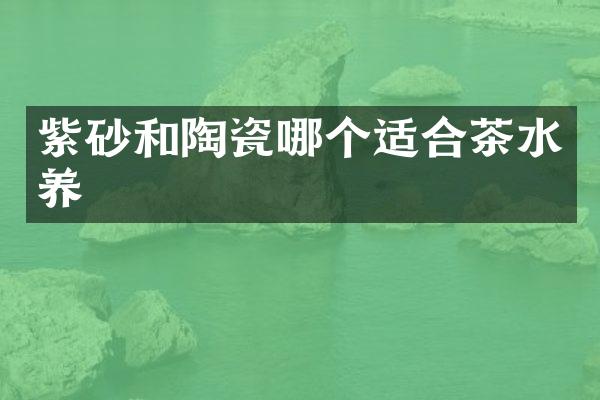 紫砂和陶瓷哪个适合茶水养