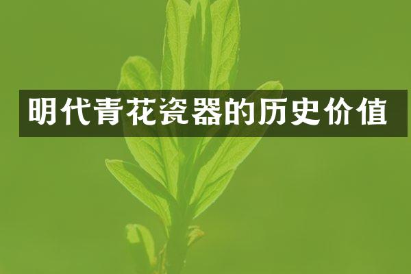 明代青花瓷器的历史价值