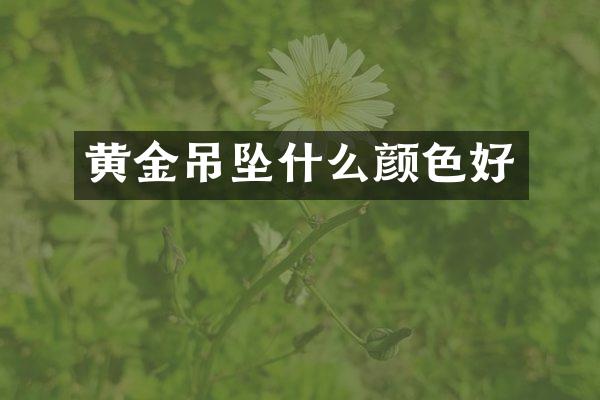 黄金吊坠什么颜色好