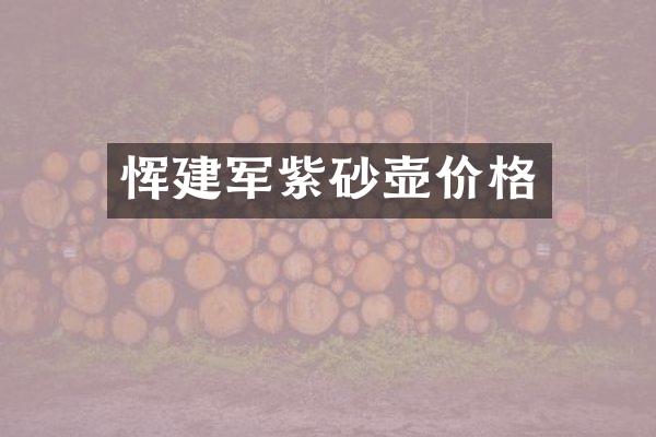 恽建军紫砂壶价格