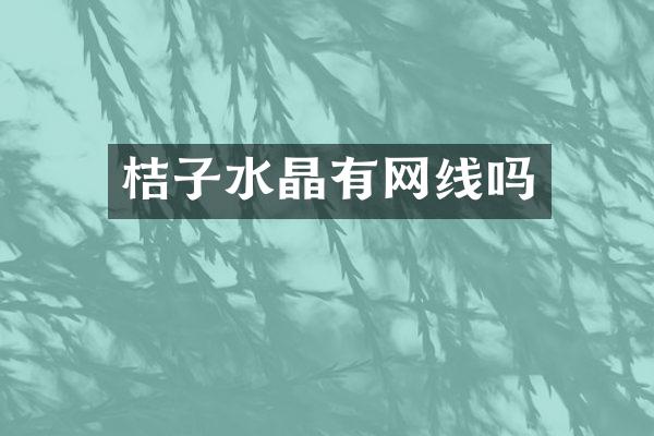 桔子水晶有网线吗