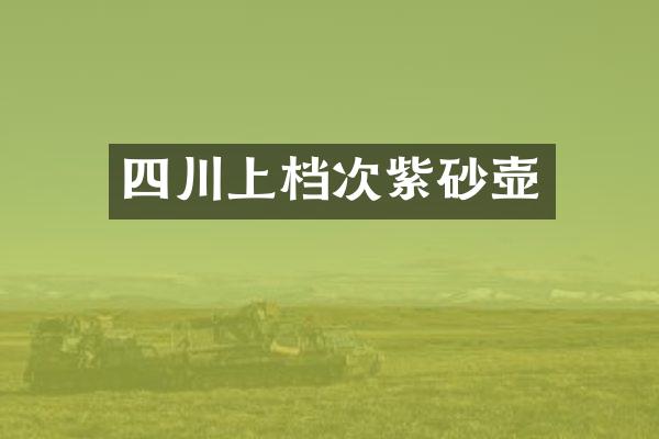 四川上档次紫砂壶