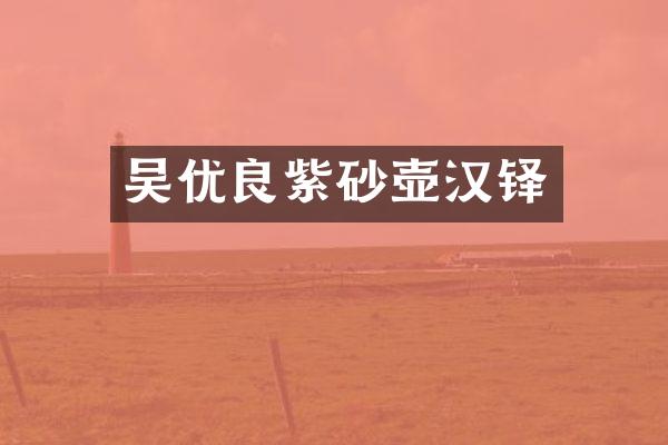 吴优良紫砂壶汉铎