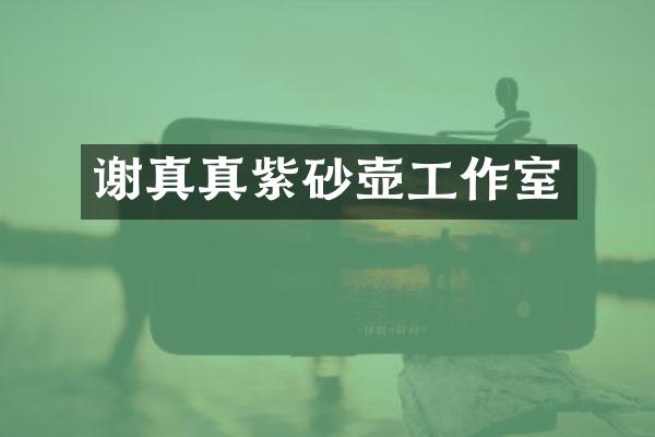 谢真真紫砂壶工作室