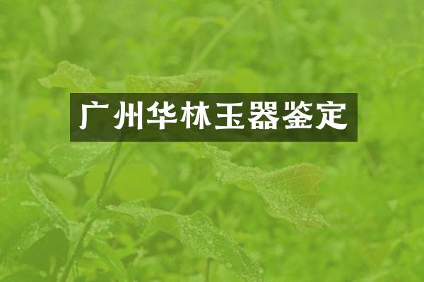 广州华林玉器鉴定