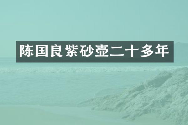陈国良紫砂壶二十多年