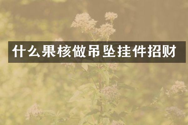 什么果核做吊坠挂件招财