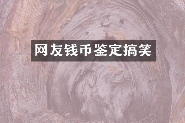网友钱币鉴定搞笑
