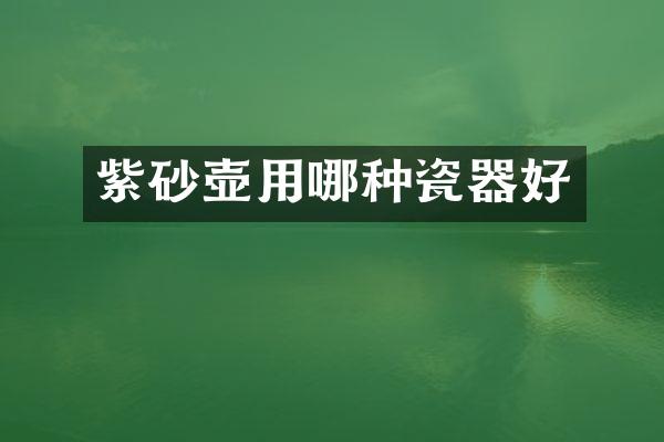 紫砂壶用哪种瓷器好