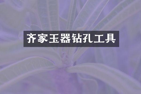 齐家玉器钻孔工具