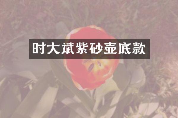 时大斌紫砂壶底款