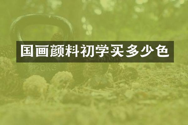 国画颜料初学买多少色