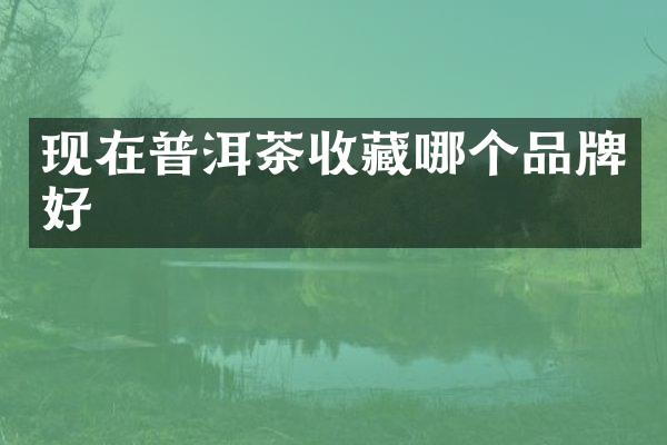 现在普洱茶收藏哪个品牌好