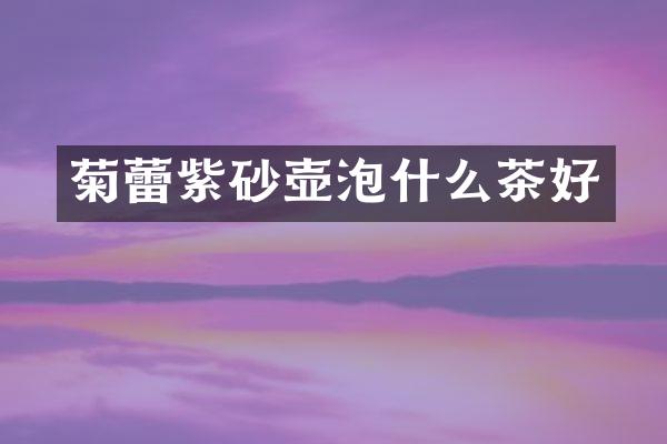 菊蕾紫砂壶泡什么茶好