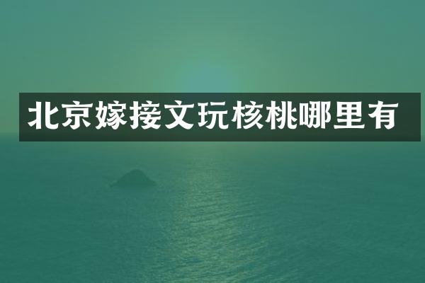 北京嫁接文玩核桃哪里有
