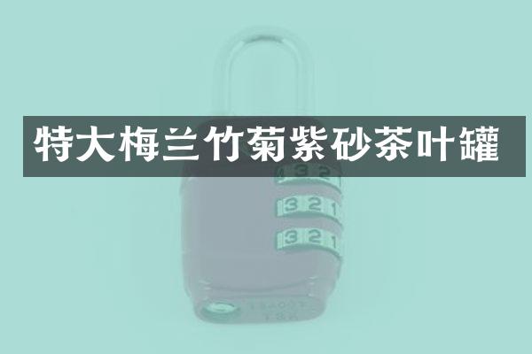 特大梅兰竹菊紫砂茶叶罐