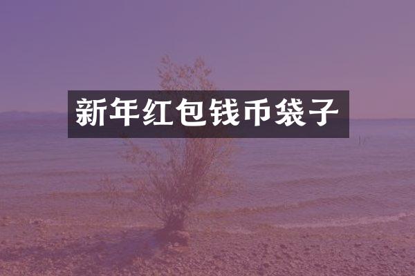 新年红包钱币袋子