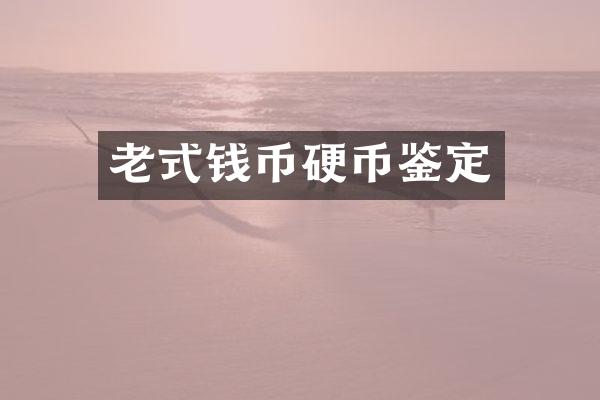 老式钱币硬币鉴定