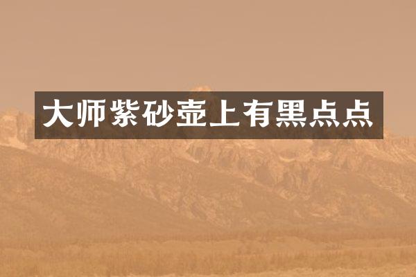 大师紫砂壶上有黑点点
