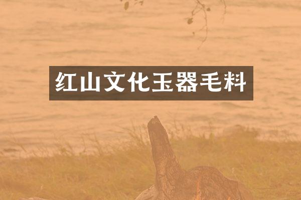 红山文化玉器毛料