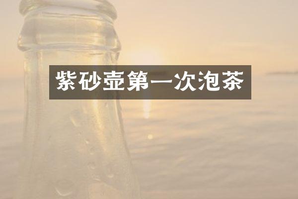 紫砂壶第一次泡茶