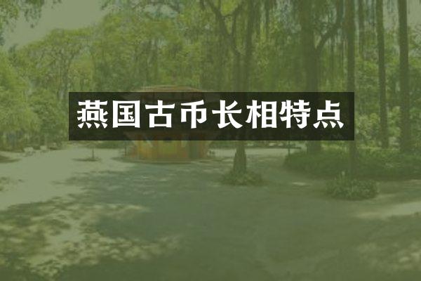 燕国古币长相特点