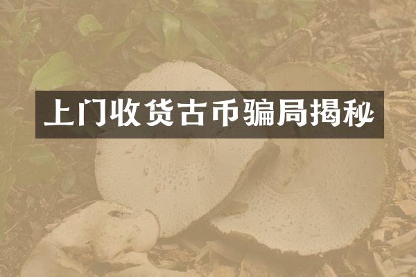 上门收货古币骗局揭秘