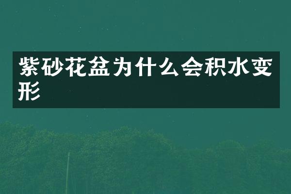 紫砂花盆为什么会积水变形
