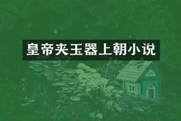 皇帝夹玉器上朝小说