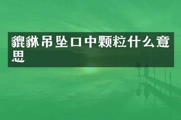 貔貅吊坠口中颗粒什么意思