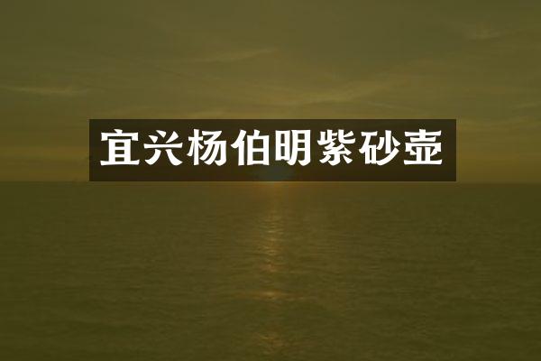 宜兴杨伯明紫砂壶