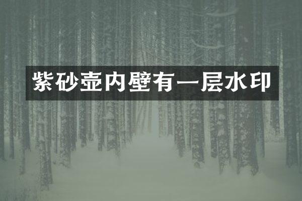紫砂壶内壁有一层水印