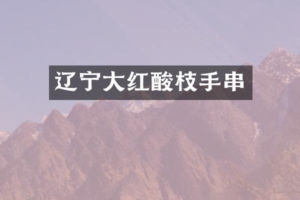 辽宁大红酸枝手串