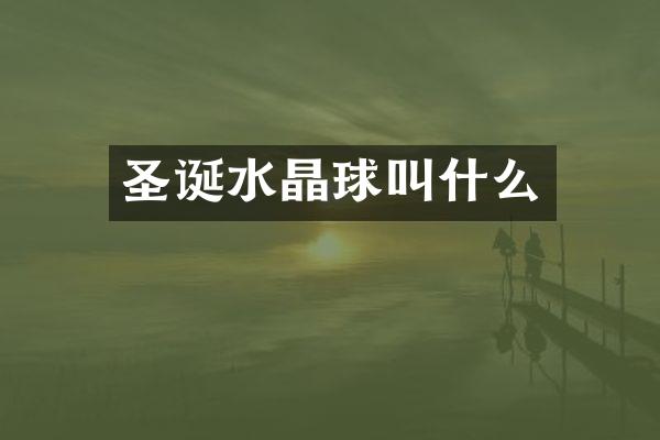 圣诞水晶球叫什么