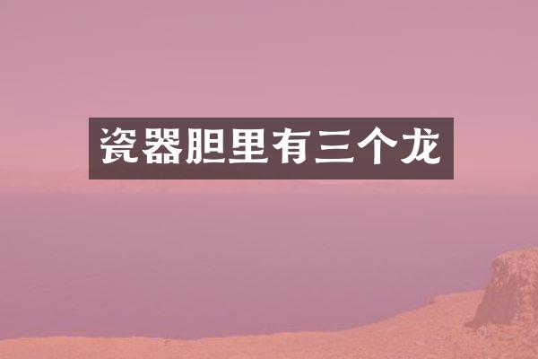 瓷器胆里有三个龙