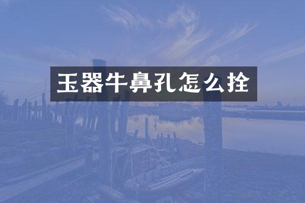 玉器牛鼻孔怎么拴