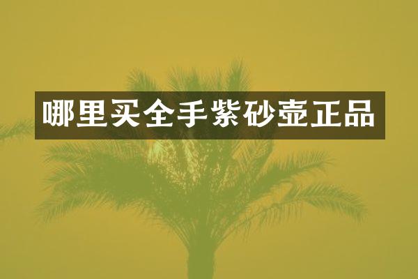 哪里买全手紫砂壶正品