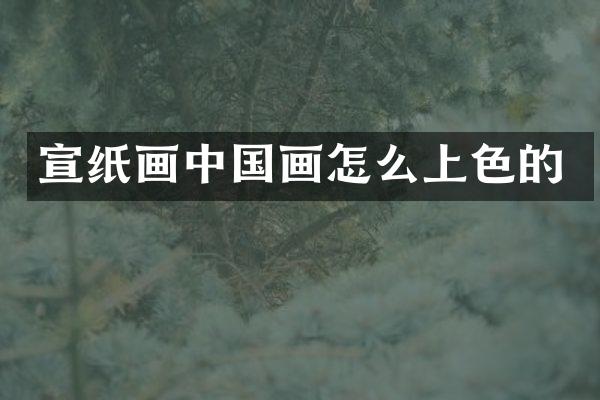 宣纸画中国画怎么上色的