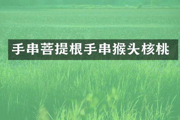 手串菩提根手串猴头核桃