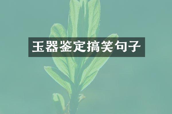 玉器鉴定搞笑句子